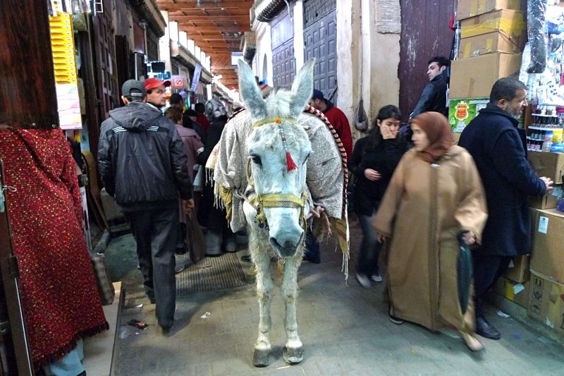 Morocco